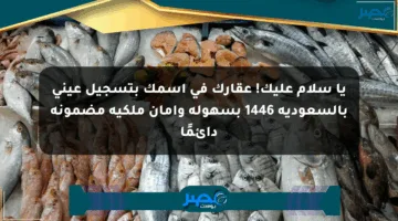 يا سلام عليك! عقارك في اسمك بتسجيل عيني بالسعودية 1446 بسهولة وأمان ملكية مضمونة دائمًا
